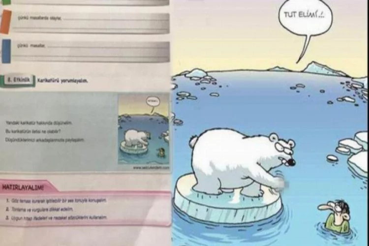 Türkçe kitabında şoke eden karikatür! Kutup ayısının uygunsuz hareketi...
