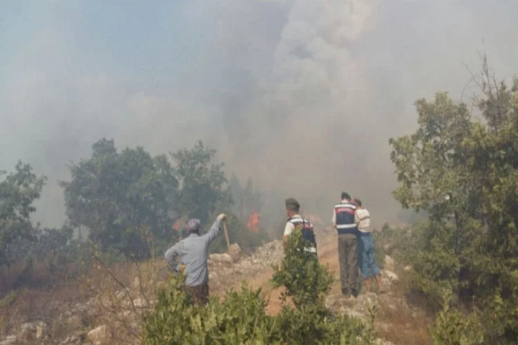 Domaniç'teki orman yangını Bursa sınırında