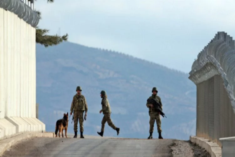 Katil sürüsü Türkiye sınırında
