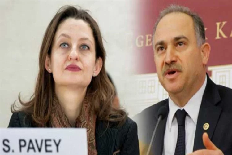 CHP'den flaş 'Şafak Pavey' açıklaması