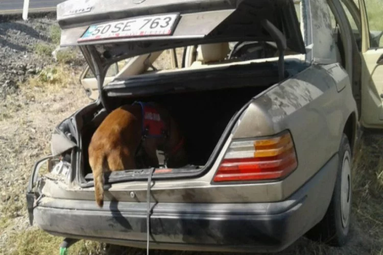 Kazada kopan kulağı arama-kurtarma köpeği böyle buldu
