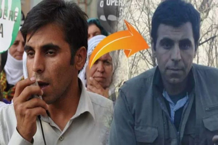 Etkisiz hale getirilen PKK'lı terörist BDP ilçe başkanlığı yapmış