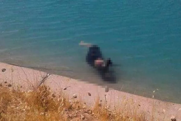 Sulama kanalında kadın cesedi