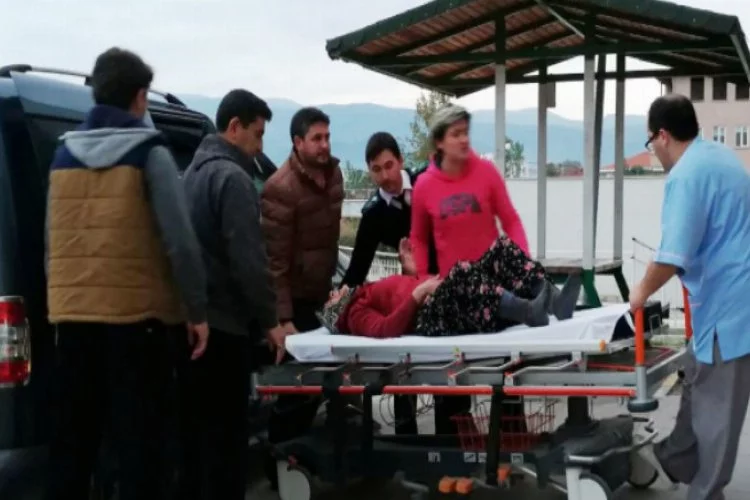 Bursa'da yaşlı kadın ağaçtan düşüp hastanelik oldu