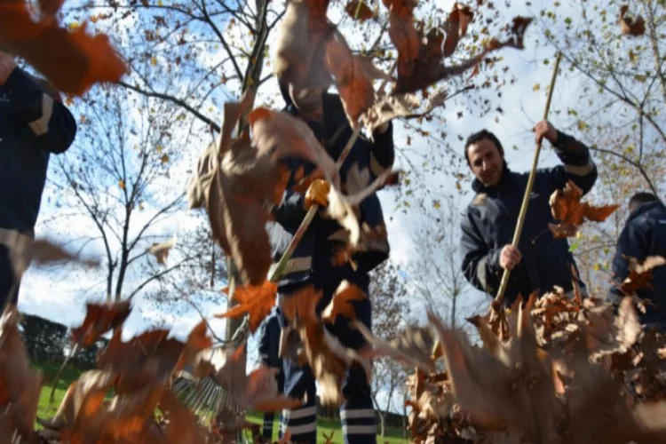 Bursa'da taşeron işçiler ekmeğini yapraktan çıkarıyor