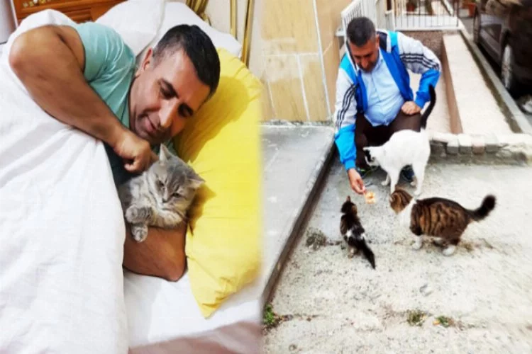 Bursa'nın hayvansever savcısı kedilerle yatağa girdi