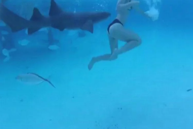 Köpekbalığı genç kadına böyle saldırdı