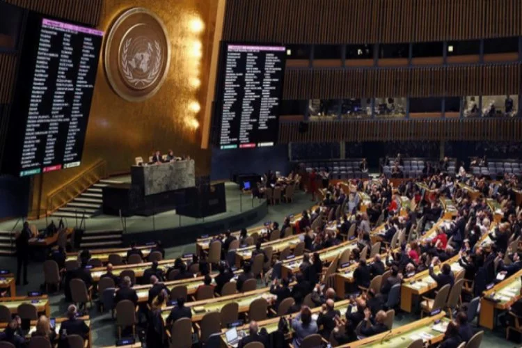 BM oylamasında Bosna Hersek detayı