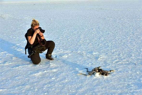 'Tablo inanılmaz ürkütücü'