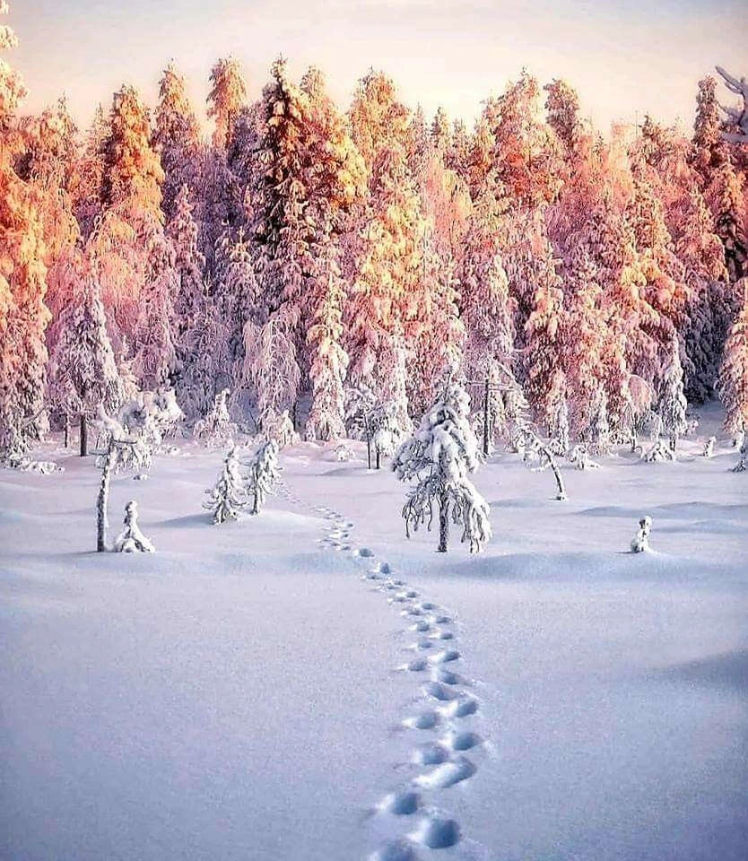 Bursa'dan büyüleyen manzara