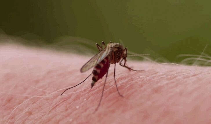 Dünyanın en saçma günleri