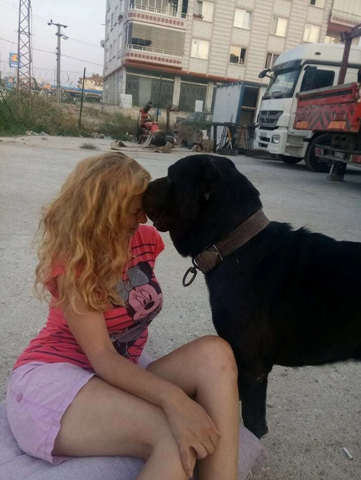 Bursa'da eski mankenin evinde kıskançlık cinayeti!