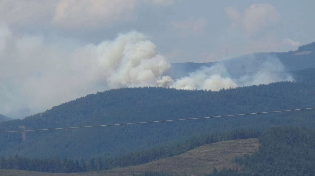 Bursa'da orman yangını!