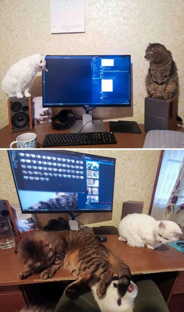 Koronavirüs, çalışanları eve kapattı! İşte o görüntüler...