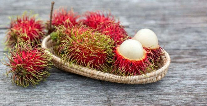 Dünyanın en ilginç 10 meyvesi!