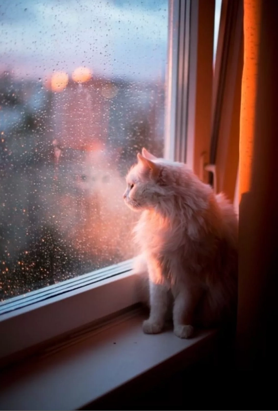 Sokağa çıkma yasağında evde yapılabilecek 10 aktivite!