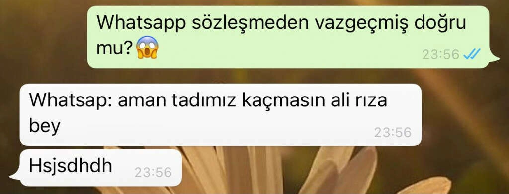WhatsApp'tan Telegram'a göç capslere konu oldu!