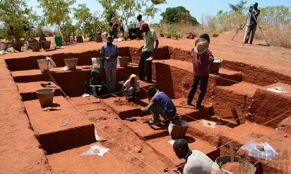 İnsanoğlu 92 bin yıl önce dünyaya zarar vermeye başladı