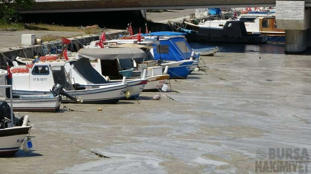 Denizlerden sonra nehirler de müsilaja teslim oldu