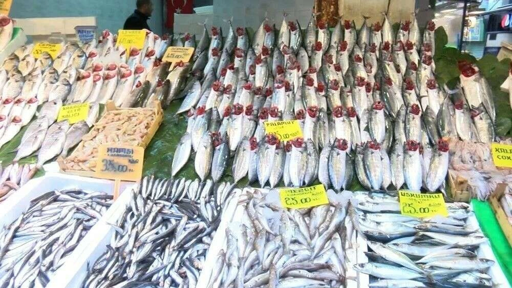 Halden sofraya: Hamsinin fiyat yolculuğu