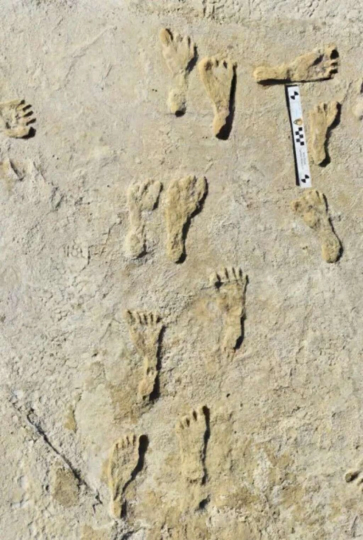 Amerika'daki ilk insanların tarihiyle ilgili kanıtlar ortaya çıktı