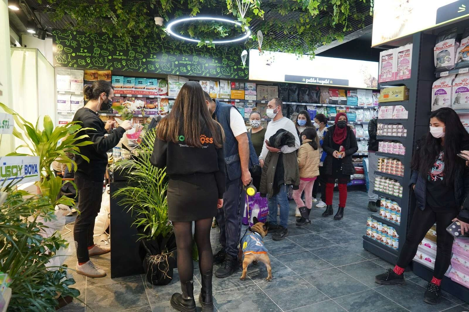 Zoogross artık Balat’ta