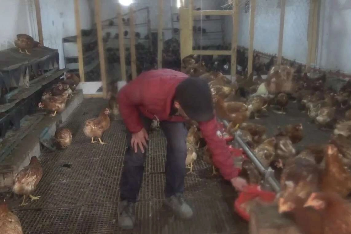 Yoğun talep üzerine kurdu, şimdi paraya para demiyor