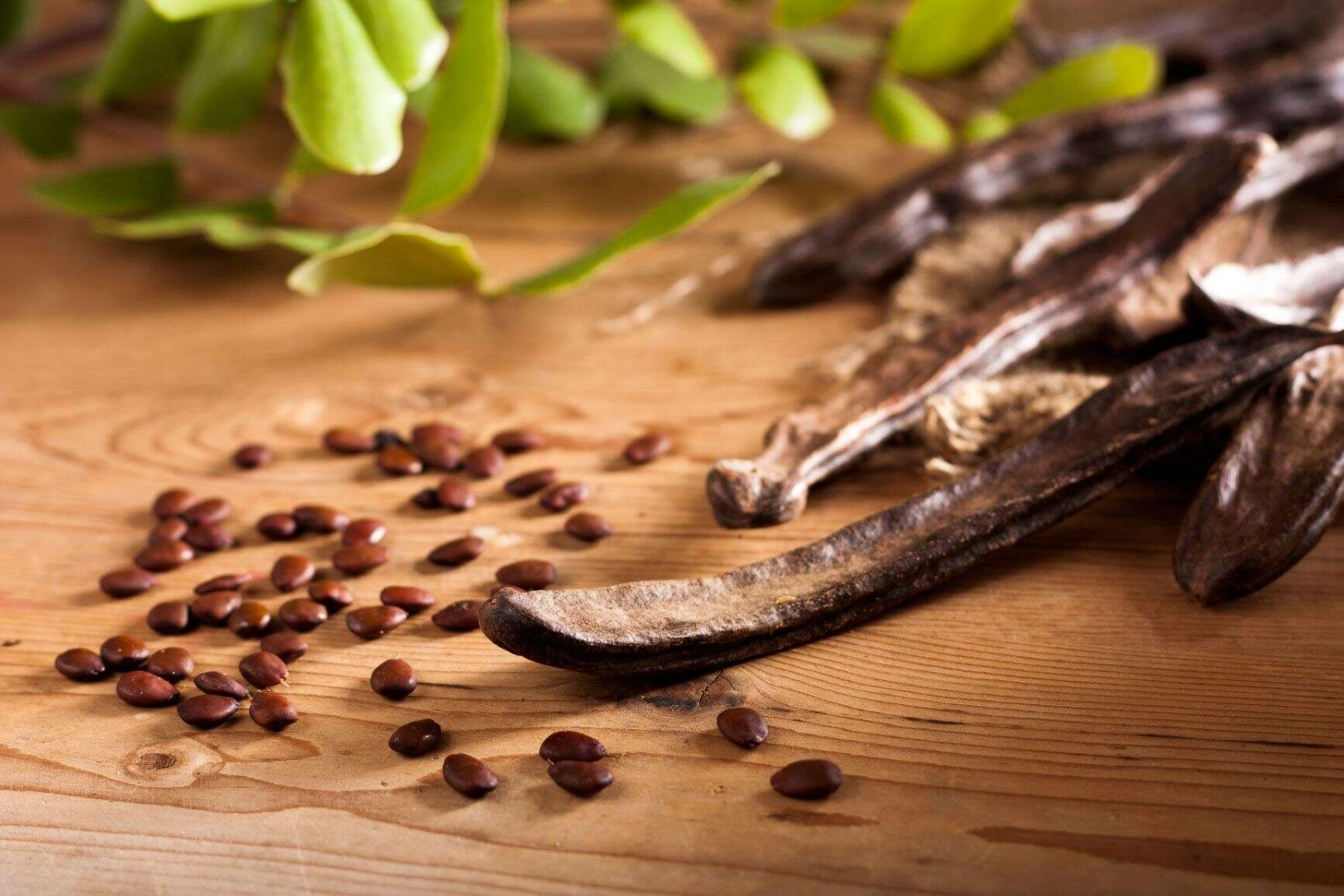 Keçiboynuzunun bilinmeyen faydaları: Radyasyonu vücuttan atıyor!