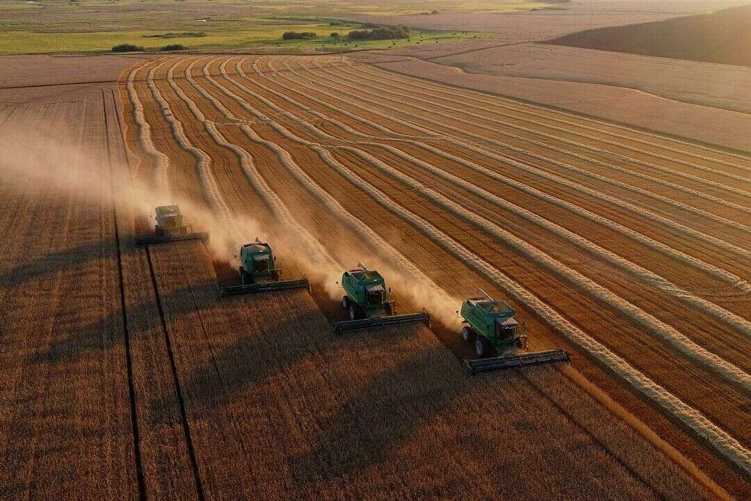 Cumhurbaşkanı Erdoğan talimatı verdi: Çiftçiden gelir garantili alım...