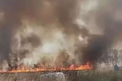 İstanbul Çatalca'da tarlada yangın çıktı
