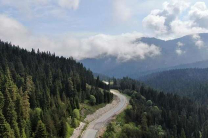 Kastamonu'da ormanlık alanlara giriş ve çıkışlar yasaklandı