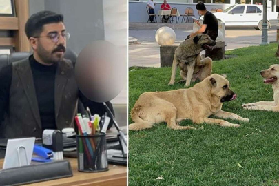 Kuduz hastalığına yakalanan genç mimar hayatını kaybetti!