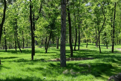 Bursa Valiliği'nden flaş açıklama: Ormanlık alanlara giriş çıkış yasağı...