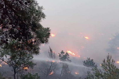 Bolu'da düşen yıldırım yangına sebep oldu! Ekipler müdahale ediyor