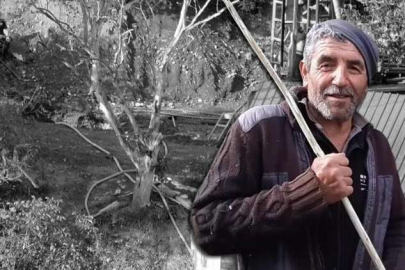 Bolu'daki gizemli kazıda 'büyük hazine' iddiası