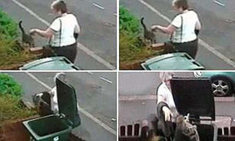 4. Çöpe Kedi Atan Kadın