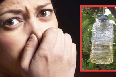 Ağız kokusunu anında geçirecek doğal yöntemler!