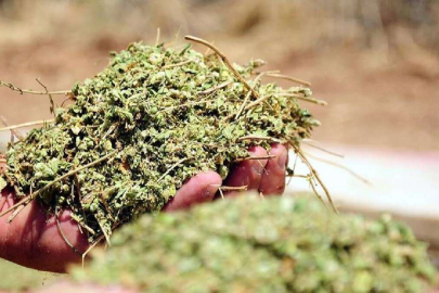 Kullanırken mutlaka iki kere düşünün! Kimse zararını bilmiyor...