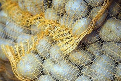 Patatesin faydaları nelerdir?