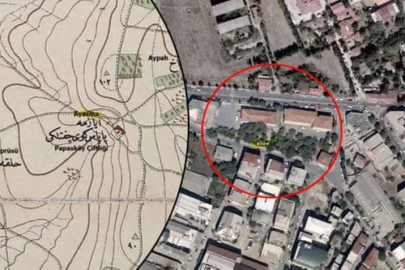 İstanbul'un göbeğinde bulundu! 'Dünyadaki tek yer olabilir'