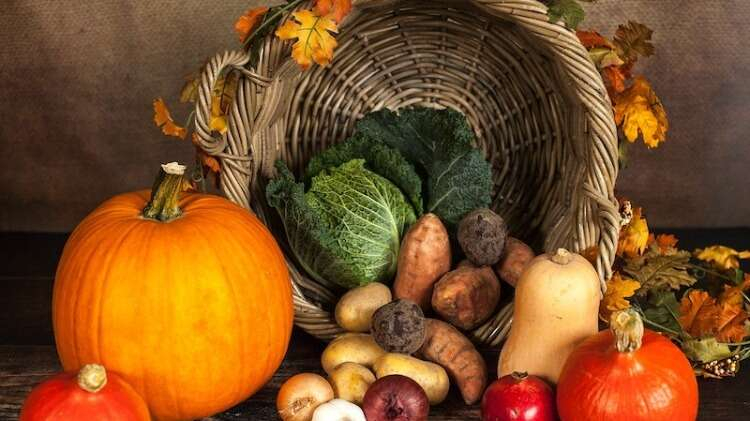 DR. F. X. MAYR’A GÖRE