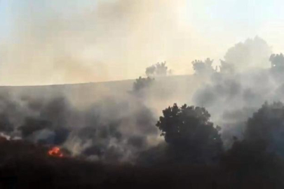 Diyarbakır Ergani'de orman yangını! Hızla yayıldı...