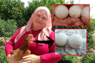 26 yıllık tavukçu Cennet Gezer kümesten yumurta aldığı sırada gözlerine inanamadı!