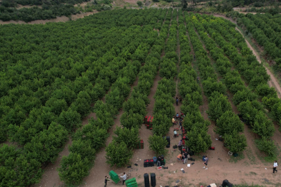 Coca-Cola Türkiye’den Bursa’da su geri kazanım projesi