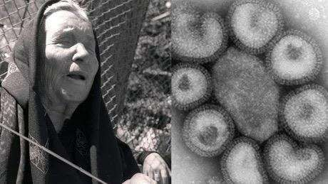 Sibirya'da 48 bin yıllık virüs uyandı