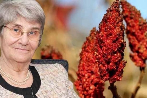 Canan Karatay önerdi: Bağışıklık sistemini çelik gibi yapıyor