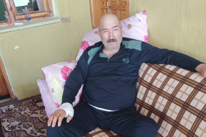 Artvin’de ayının saldırısına uğrayan şahıs yaşadığı o dehşet anlarını anlattı