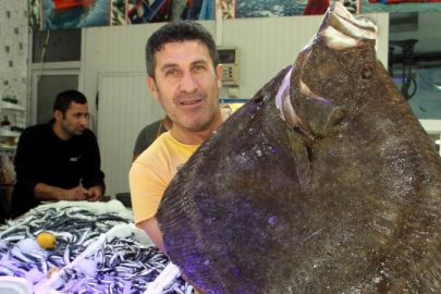 8,5 kilogram ağırlığındaki kalkan balığı ağlara takıldı