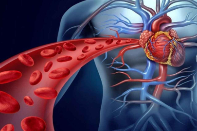 Damar sağlığını korumak için 5 öneriye dikkat !