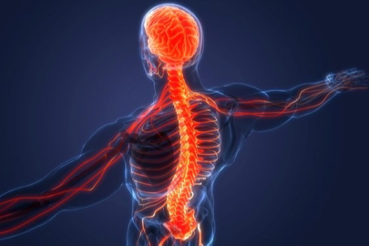 Felç tedavisinde umut veren çalışma